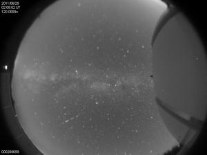 gras102-16-29.jpg