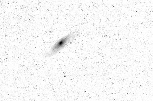 M 31 4 negatiw.jpg