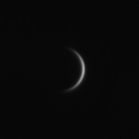 Venus-7ms-85g.jpg