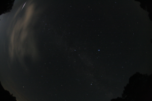 020825_2211UT_Polyani.png
