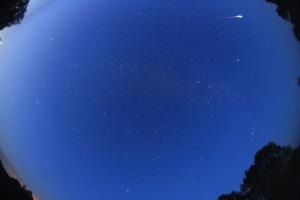 030825_0044UT_FIREBALL_POLYANI.JPG