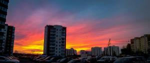 0602 Panorama-1f.jpg