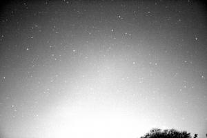 1023_247.jpg
