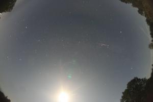 130825_0034UT_bright Per_Polyani.JPG
