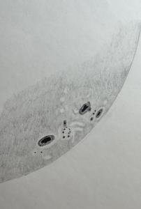 1650209881010.jpg