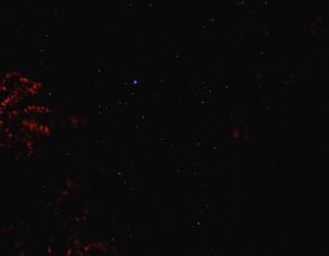 20110701_����_�.JPG