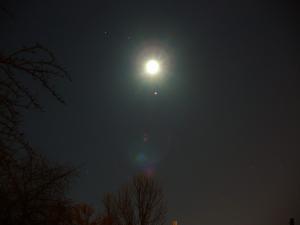 20111206____f.JPG