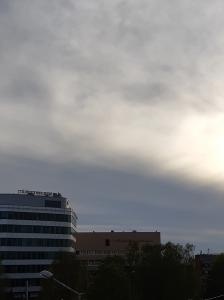 2020-05-23.jpg