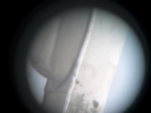 2021-05-06 23.50.47.jpg