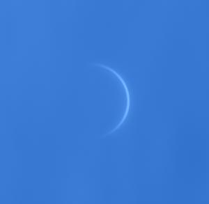 2023-08-12-0758_9-IR850-Ven-2x_2000fr_Drizzle15.jpg