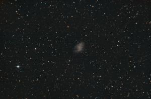 20241103_M1.jpg
