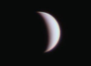 20250212_Venus.jpg