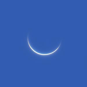 2025-03-23-0809_5-Venus_CROP_fin_RGB_120%.jpg