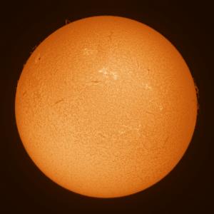 2025-03-29-1224_over.jpg