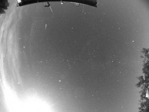 225404_4196.jpg