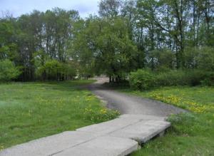 6_BAF2008.jpg
