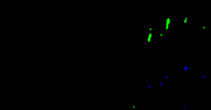 813360217.png