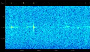 9.08.08-13.12MSK.jpg