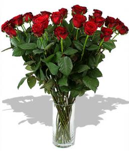 995a902648fbf9a6067b99d39845f6da.jpg