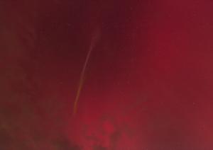 _20241011_163646.JPG