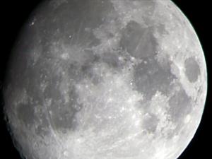 ���� ������� ��������.jpg