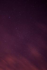 _MG_9904.jpg
