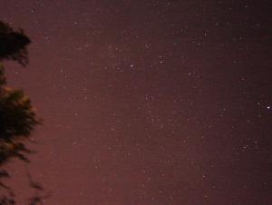   SONY DSC S60 18.06.2010 0h15m.jpg