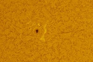 AR2833_090128_Ha_200621_100per.jpg