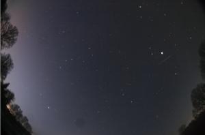 Bright Meteor 150126_0007UT_Polyani.jpg