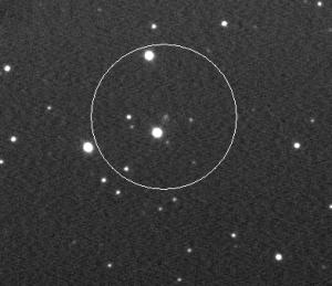 Cardinal 2008 T2_20 oct-10X40sek.jpg