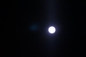 DSC01301_.jpg