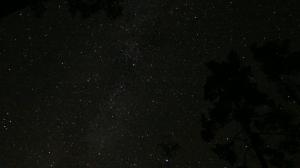 DSC03252.JPG