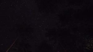 DSC03294.JPG