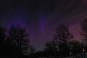 DSC_0101_.jpg