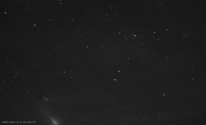 FF_UA0004_20231221_021404_191_1044992.gif