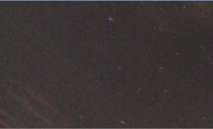 grazer110421_crop.png