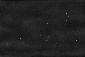 GSO_Mentor_4_SCN33490_c_2x2_addnorm_4_frames.jpg