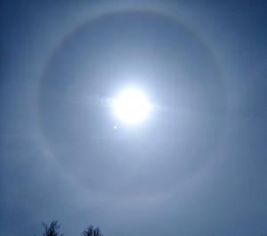 Halo-20200412_160717.png