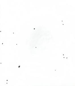 Ic1613.jpg