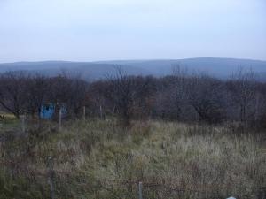image00d2.jpg