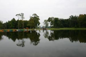 IMG 078s.jpg