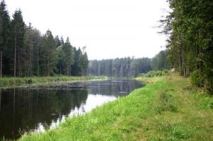 IMG 081s.jpg