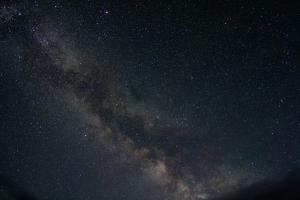 IMG_1092.jpg