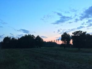 IMG_1188.jpg