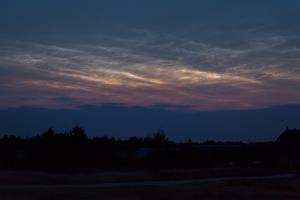IMG_1452.jpg