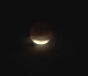 IMG_1634.jpg