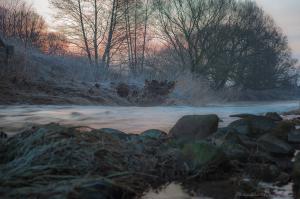 IMG_1726-1_40%.jpg