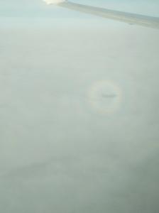IMG_20190110_235459.jpg