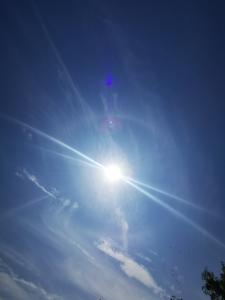 IMG_20230707_113752.jpg