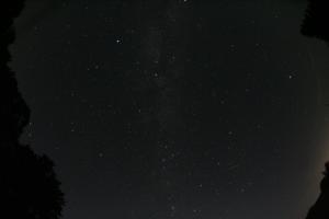 IMG_2192_PER_Polyani_2251 UT_100824.JPG